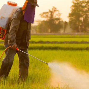 Pesticides