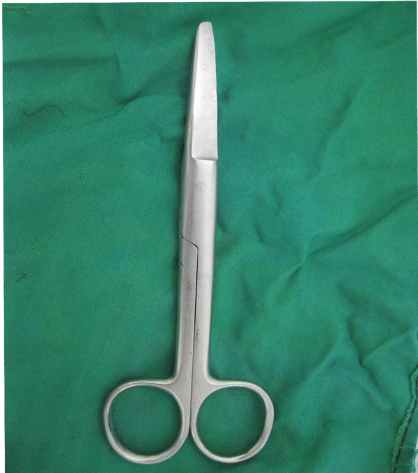 Surgical Scissors