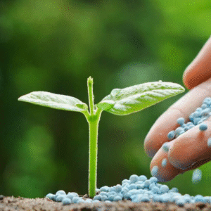 Fertilizers