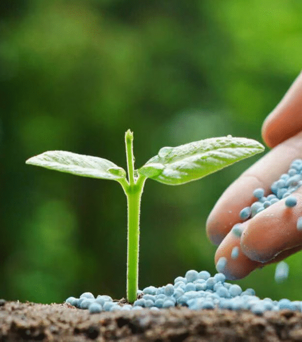 Fertilizers