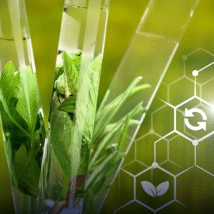 Agrochemicals